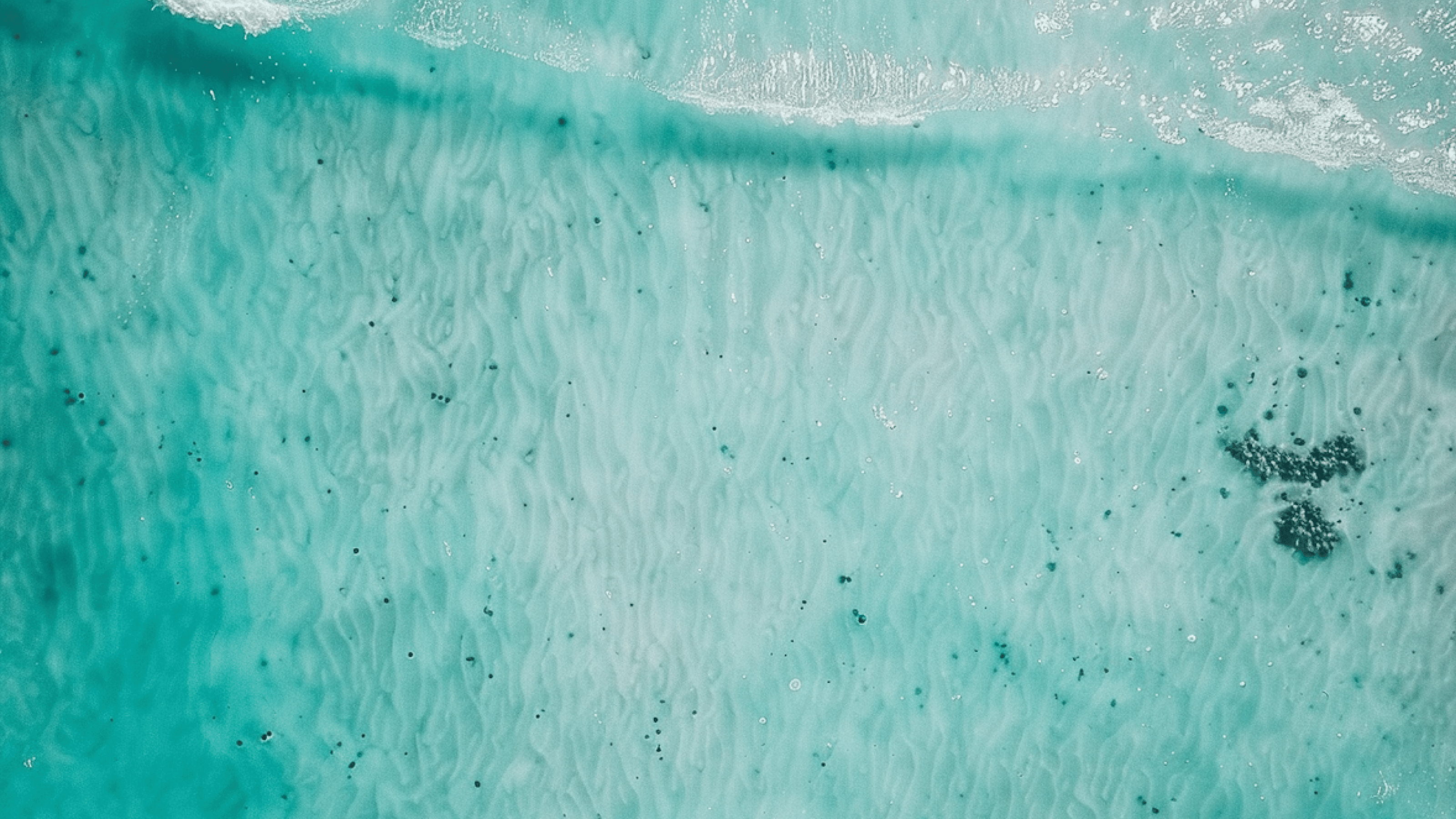 Project business forecasts